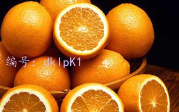 ҵ