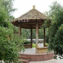 ζ