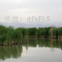 Ŀ